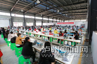 瀘州古藺玩具與紡織品 出海德國，帶動就業新篇章